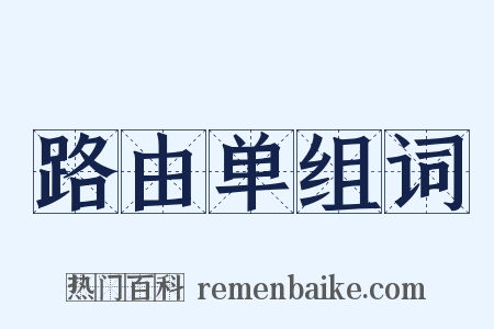 路由单组词是什么意思的图片